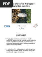 Sistemas alternativos de criação de camarões - Policultivo.pdf