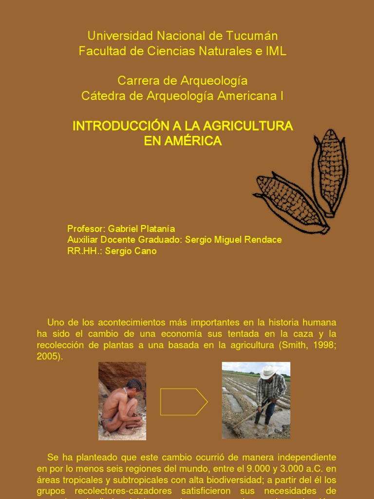 Historia de la Agricultura en América | PDF | Domesticación | Maíz