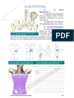 Osteopatia Parte3