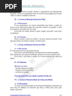 osteopatia_parte5