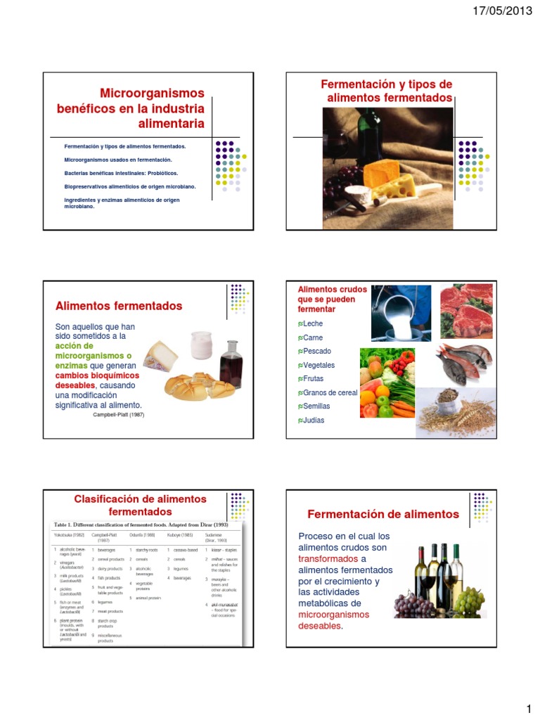 Microorganismos Beneficiosos en Alimentos | PDF | Fermentación | Alimentos
