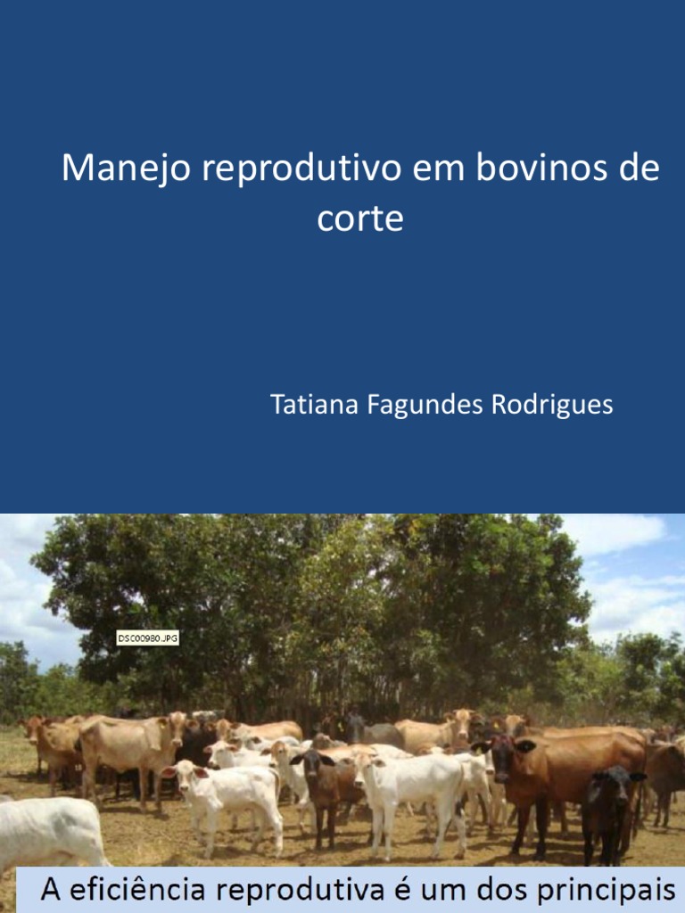 1 Manejo Reprodutivo de Bovinos de Corte Cattle Breastfeeding