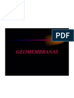 Geomembrana 1