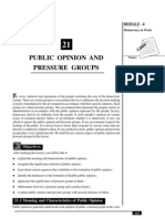 21_Public Opinion and Pressure Groups (277 KB)