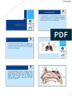 Sistema Respiratorio