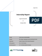 Example Internship Report