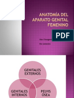 anatomadelaparatogenitalfemenino-121030212000-phpapp01