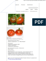 Black Russian - Solanum Lycopersicum L