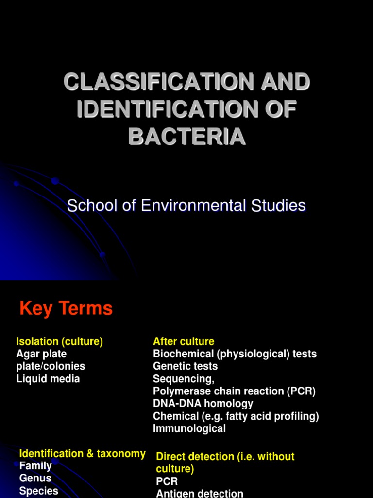 Bacterial Classification and Identification | PDF | Growth Medium ...