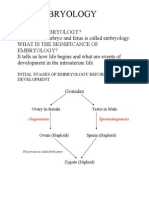 Embryology: Intial Stages of Embryology Before Development