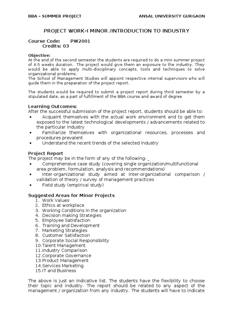 BBA Summer Project Guidelines 2023 | PDF | Cognition | Business