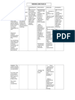 Nursing Care Plan