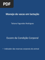 2 Manejo de vacas em lactação