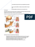 Hematoma Terjadi Dalam Ruang Submandibula