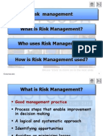 Risk Management in Organizations