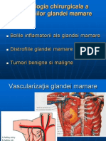 Curs 1 - Glanda Mamara - Semiologie Chirurgicala (2)
