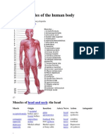 List of Muscles of The Human Body