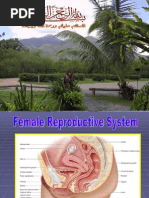 Female Reproductive System