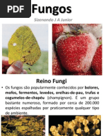 Aula - Fungos