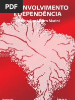 Desenvolvimento Dependencia