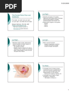 Download The Female Pelvic Floor and Goldilocks-Handout by freekirsten898 SN15750878 doc pdf