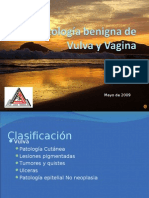 Patologia Benigna de Vulva y Vagina