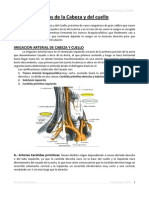 Irrigación Cabeza Cuello