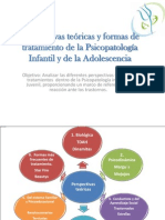 4-perspectivastericasyformasdetratamientodelapsicopatologainfantil-130204224036-phpapp01