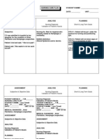 Care Plan Template 2