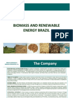 News Brochure Business Brazil Biomass Renewable Energy 2009