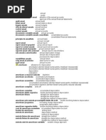 Dictionar Termeni-Contabili-Romana-Engleza PDF