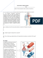 Guía Sistema Circulatorio 5° Basico