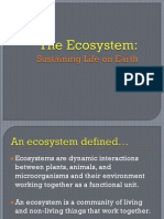 The Ecosystem