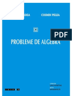 Probleme de Algebra Purdea- Pelea