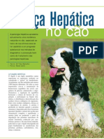 Doenca Hepatica No Cao