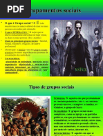 Agrupamentos Sociais (Pérsio dos Santos)