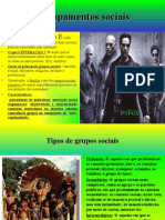 Agrupamentos Sociais (Pérsio Dos Santos)