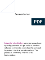 Fermentation