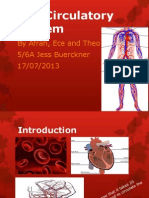 Powerpoint of The Circulatory System