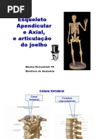 14960983 Anatomia Revisao de Ossos