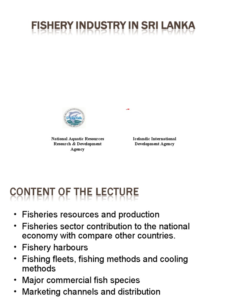 Overview of Sri Lanka's Fisheries Industry | PDF | Fish | Fishery