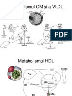 Metabolismul CM Si A VLDL