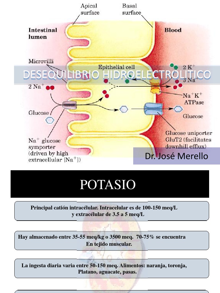 Exposicion de Alteraciones Del Potasio | PDF | Potasio | Dieta y nutrición