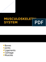 Musculoskeletal System Lecture Notes