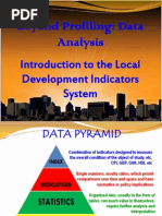 Beyond Profiling: Data Analysis: Introduction To The Local Development Indicators System