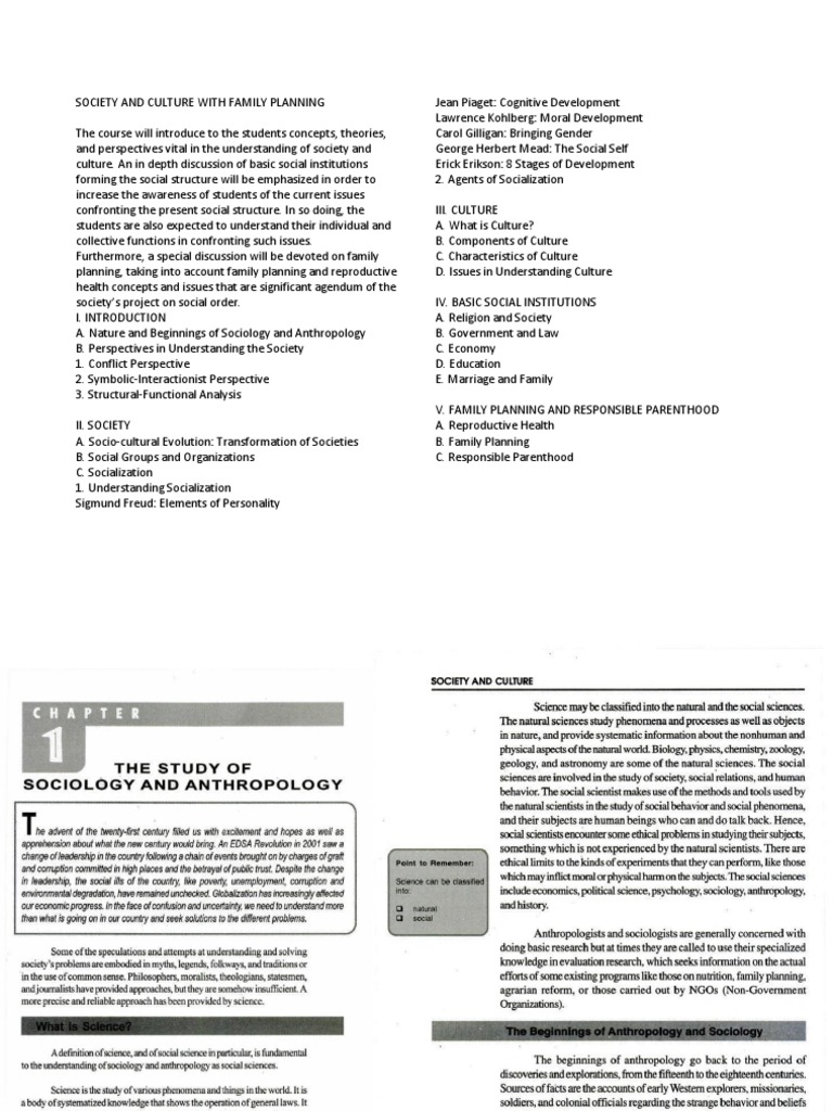 Family Planning in Society and Culture | PDF | Socialization | Social ...