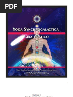 Yoga Synchrogaláctica II – As Praticas...