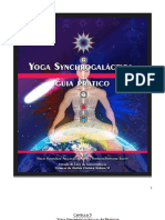 Yoga Synchrogaláctica II – As Praticas...