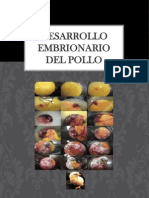 Desarrollo Embrionario Del Pollo