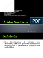 Ácidos Nucleicos 1B